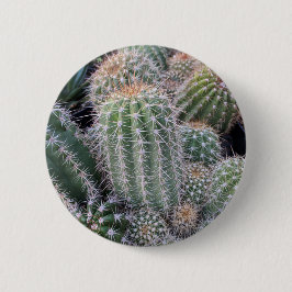 Cactus Ronde Button 5,7 Cm