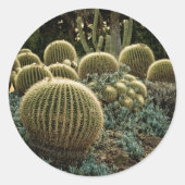 Cactus Ronde Sticker (Voorkant)