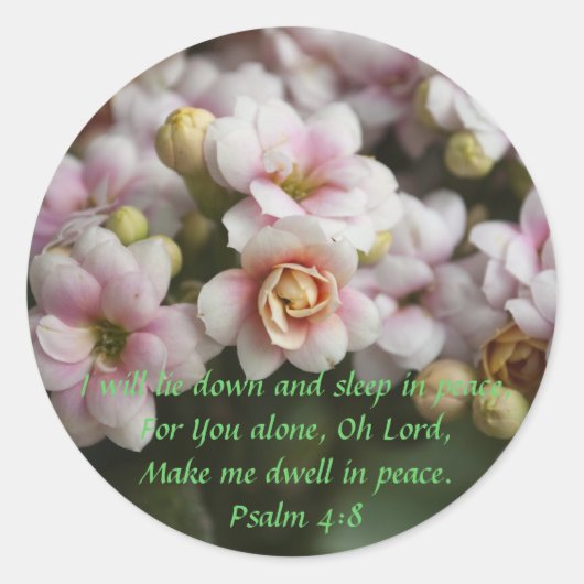 Cactus Roos Ronde Sticker (Voorkant)