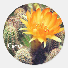 Cactus：Round Seal Ronde Sticker