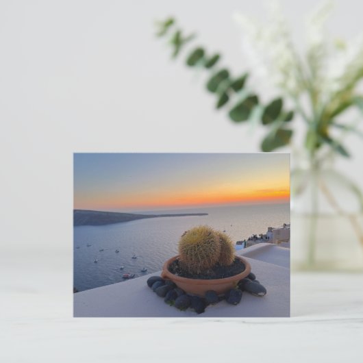 Cactus Santorini Greece Sunset Photography Briefkaart (Staand voorkant)