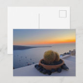 Cactus Santorini Greece Sunset Photography Briefkaart (Voorkant / Achterkant)