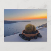Cactus Santorini Greece Sunset Photography Briefkaart (Voorkant)