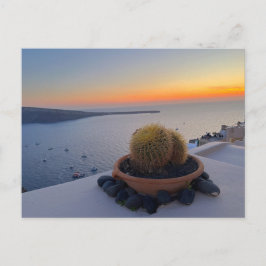 Cactus Santorini Greece Sunset Photography Briefkaart