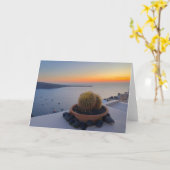 Cactus Santorini Greece Sunset Photography Kaart (Gele Bloem)