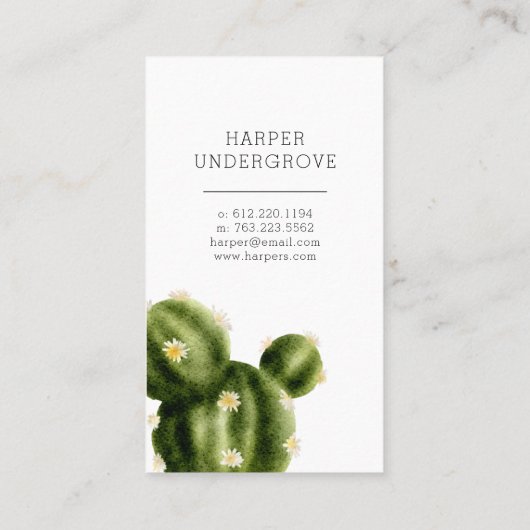 Cactus schoonmaken visitekaartje (Achterkant)