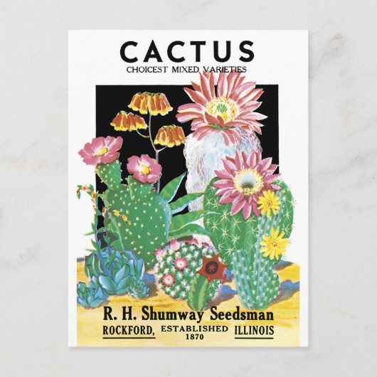 Cactus Seed Package Briefkaart (Voorkant)