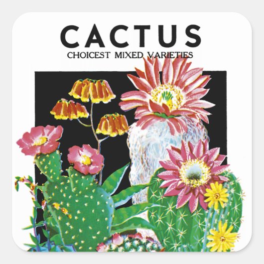Cactus Seed Packet Label (Voorkant)