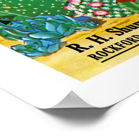 Cactus Seed Packet Label Poster (Hoek)