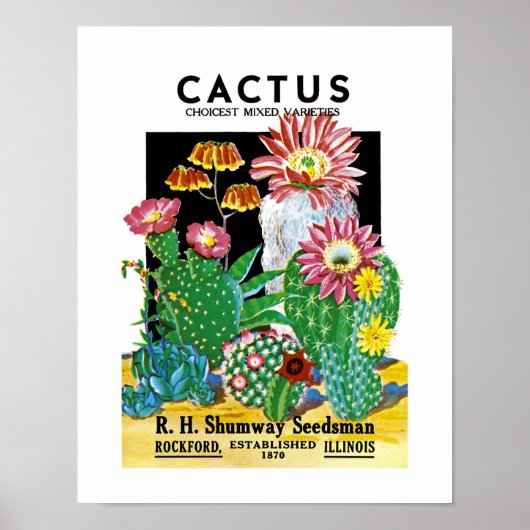 Cactus Seed Packet Label Poster (Voorkant)