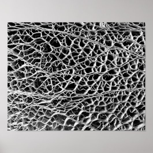 Cactus Skeleton Poster (Voorkant)