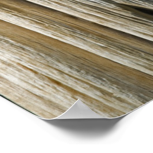 Cactus Skeleton Poster (Hoek)