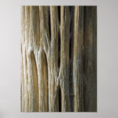 Cactus Skeleton Poster (Voorkant)