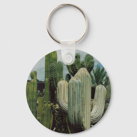 Cactus-sleutelhanger Sleutelhanger (Voorkant)