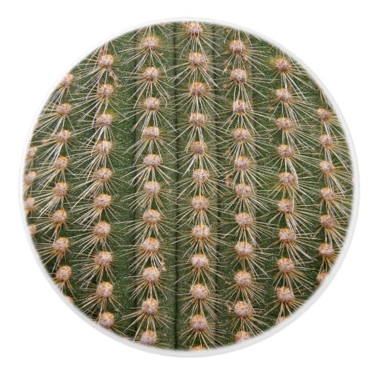 Cactus sluiten keramische knop (Voorkant)