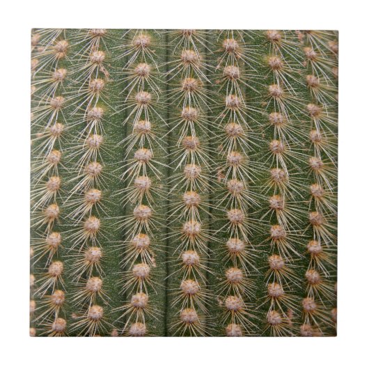 Cactus sluiten tegeltje (Voorkant)