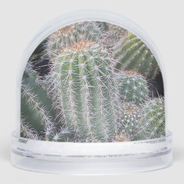 Cactus Snow Globe Sneeuwbol