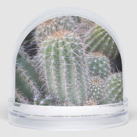 Cactus Snow Globe Sneeuwbol (Voorkant)