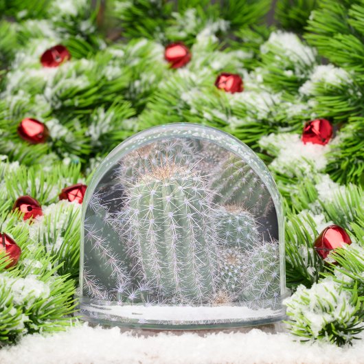 Cactus Snow Globe Sneeuwbol (Kerstmis)