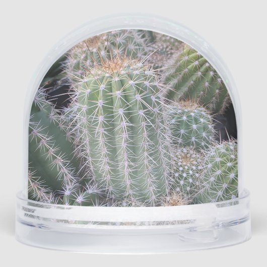 Cactus Snow Globe Sneeuwbol (Achterkant)
