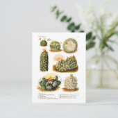 Cactus-soorten Briefkaart (Staand voorkant)