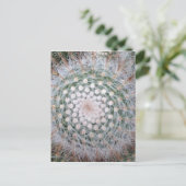 Cactus Spiral Briefkaart (Staand voorkant)