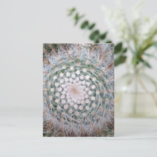 Cactus Spiral Briefkaart (Staand voorkant)