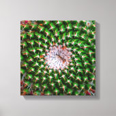 Cactus Spiral Canvas Afdruk (Voorkant)
