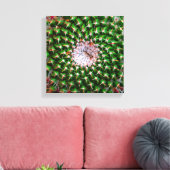 Cactus Spiral Canvas Afdruk (Insitu (Woonkamer))