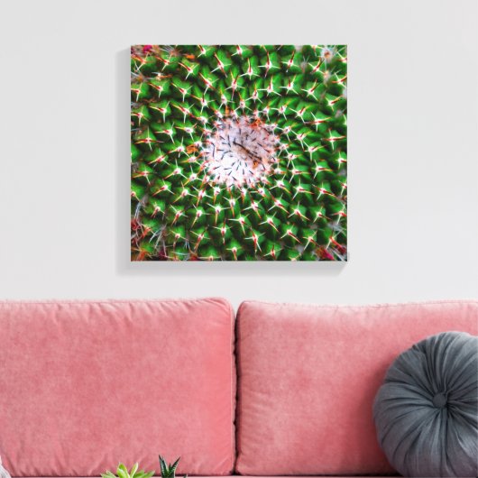 Cactus Spiral Canvas Afdruk (Insitu (Woonkamer))