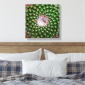 Cactus Spiral Canvas Afdruk (Insitu (Slaapkamer))