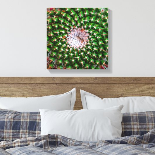 Cactus Spiral Canvas Afdruk (Insitu (Slaapkamer))