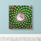 Cactus Spiral Canvas Afdruk (Insitu (Houten vloer))