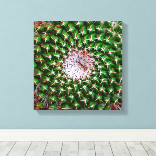 Cactus Spiral Canvas Afdruk (Insitu (Houten vloer))