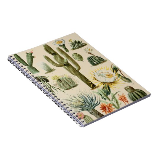  Cactus | Spiral notebook Notitieboek (Rechterzijde)
