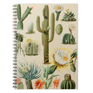  Cactus   Spiral notebook Notitieboek