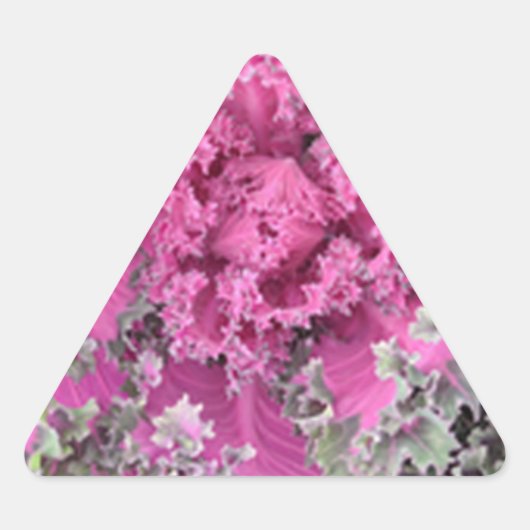 Cactus Sticker (Voorkant)