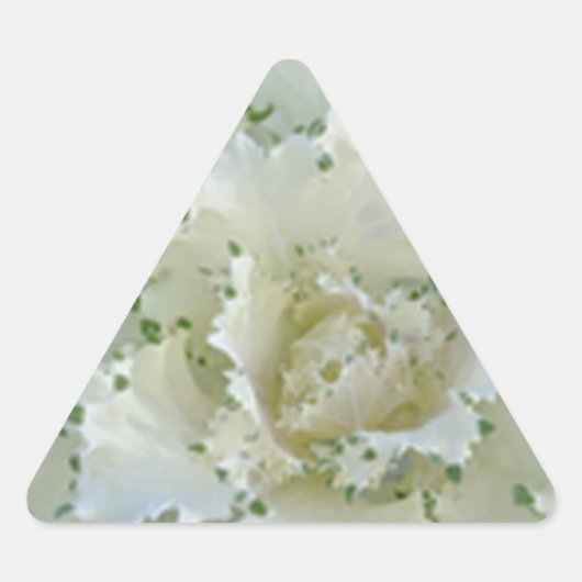 Cactus Sticker (Voorkant)