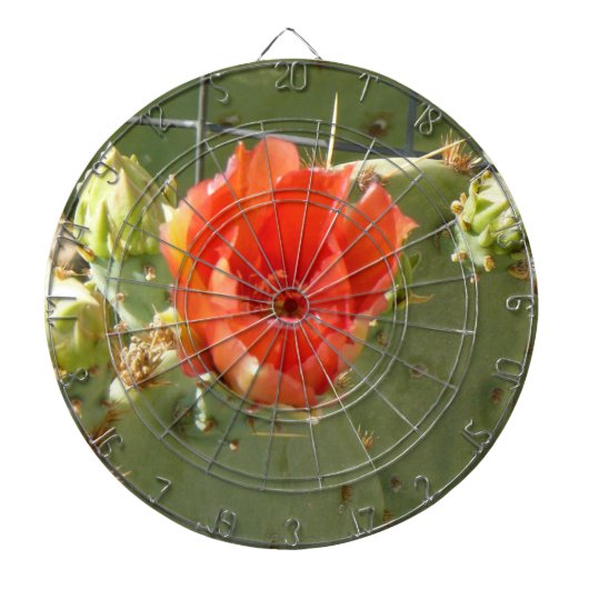 Cactus Stoer en Mooi dartboard Dartbord (Voorkant)