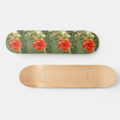 Cactus Stoer en Mooi skateboard (Horizontaal)