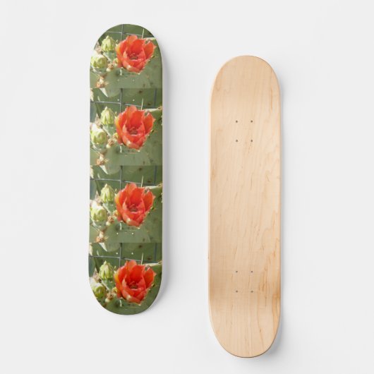 Cactus Stoer en Mooi skateboard (Voorkant)