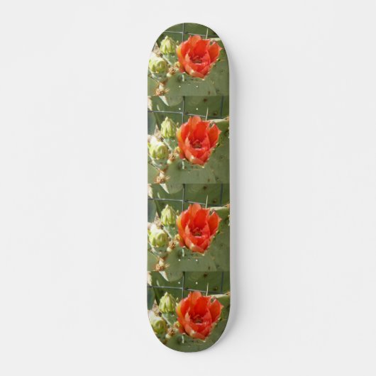 Cactus Stoer en Mooi skateboard (Voorkant)