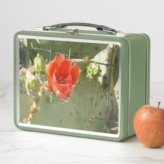 Cactus Stoere en mooie groene lunchbox (In situ)