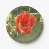 Cactus Stoere en Mooie papieren borden Papieren Bordje (Voorkant)