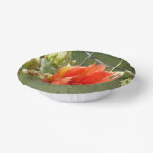 Cactus Stoere en Mooie papieren kommen (Gebogen)