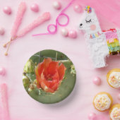 Cactus Stoere en Mooie papieren kommen (Feest)