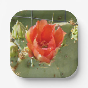Cactus Stoere en Mooie vierkante papieren borden Bordje