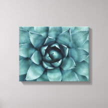Cactus Succulent Cacti Canvas Art
