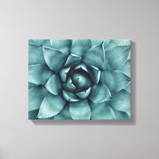 Cactus Succulent Cacti Canvas Art (Voorkant)