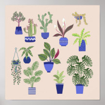 Cactus Succulent Houseplant Pink